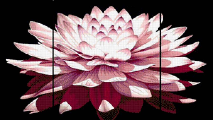 №610381 - цветок, триптих - предпросмотр