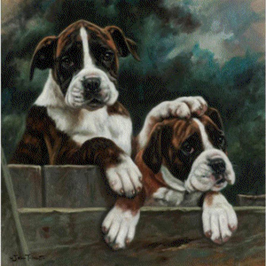 а я главнее - собакии, животные - предпросмотр