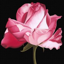 Схема вышивки «прекрасная роза»