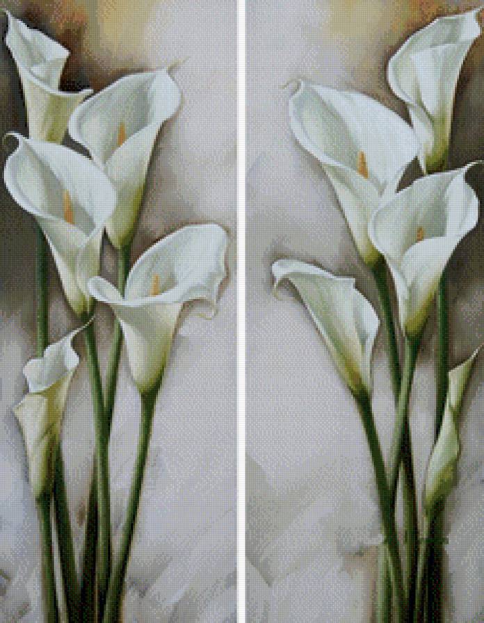 цветы - предпросмотр