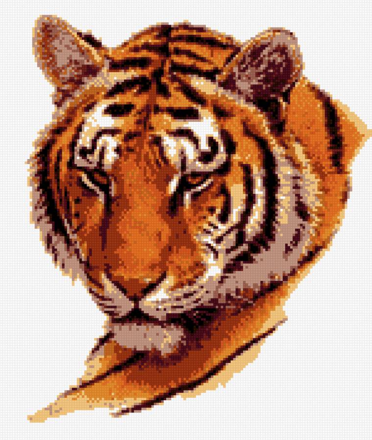 Тигр - кошки, тигр, дикие животные, полосатый - предпросмотр