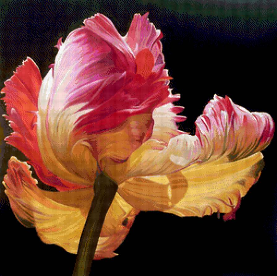 тюльпан - картина цветы - предпросмотр