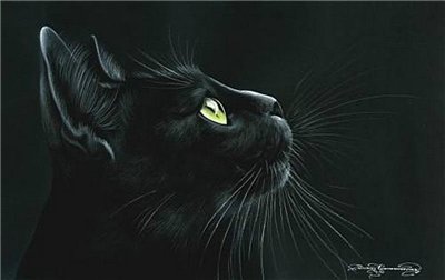 серия "Кошки" 4 - природа. животные. кошка - оригинал