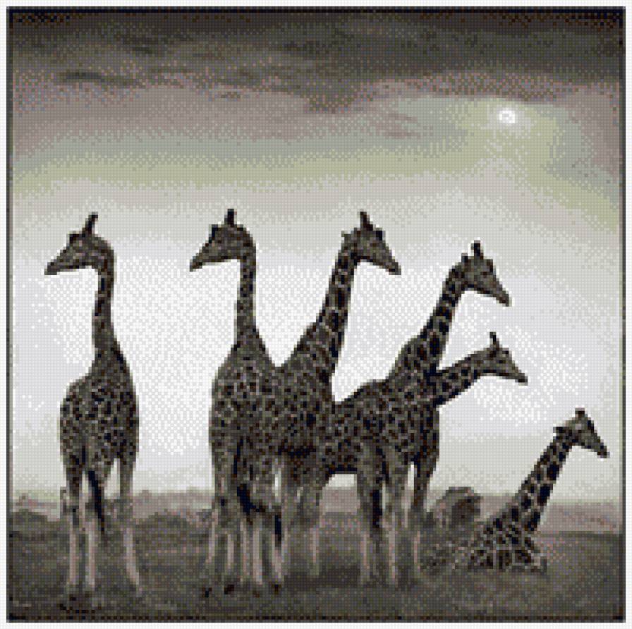 Жирафы 2 - предпросмотр