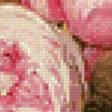 Предпросмотр схемы вышивки «Розы» (№611054)