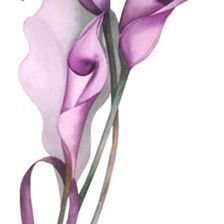 Схема вышивки «Калы»