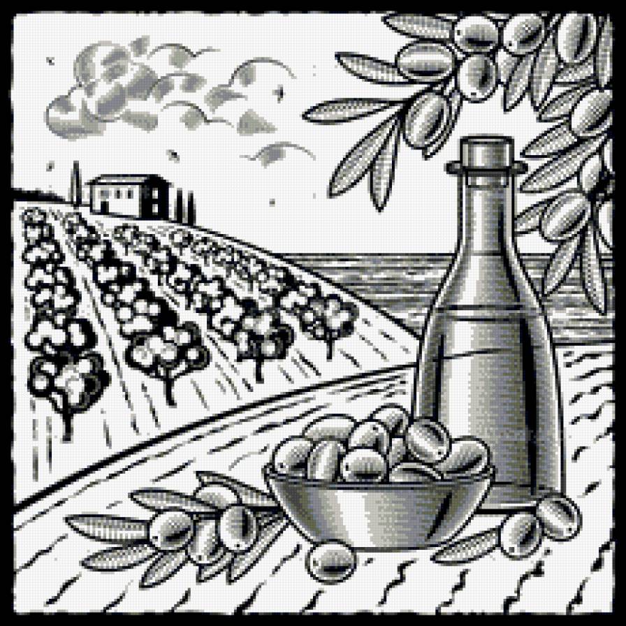 Урожай оливок - монохром, натюрморт, пейзаж - предпросмотр