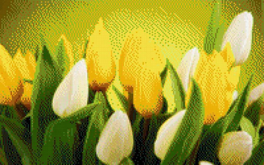 Тюльпаны - желтые, весна, цветы, тюльпаны - предпросмотр