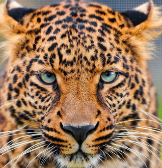 №611311 - оригинал