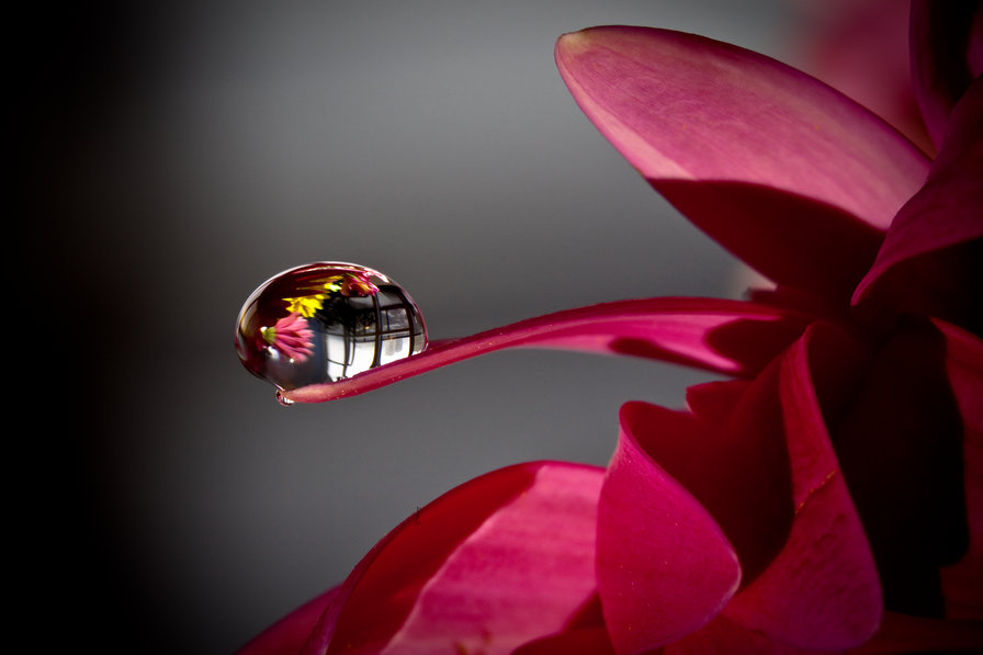 капля - оригинал