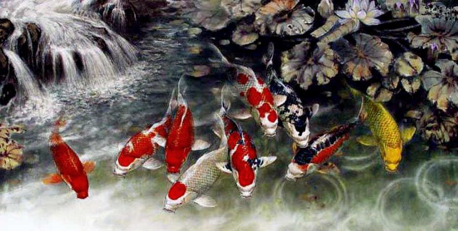 карпи - оригинал