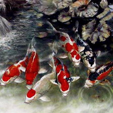 Схема вышивки «карпи»