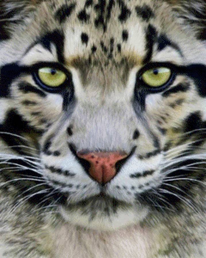 №611840 - барс, животное - предпросмотр