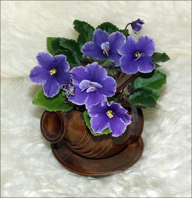 Фиалки - натюрморт, цветы - оригинал