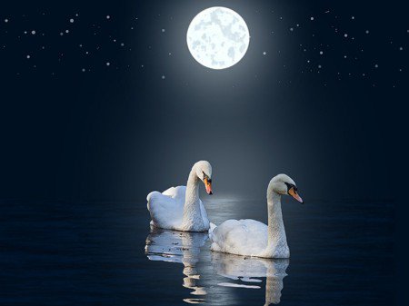 №611885 - оригинал