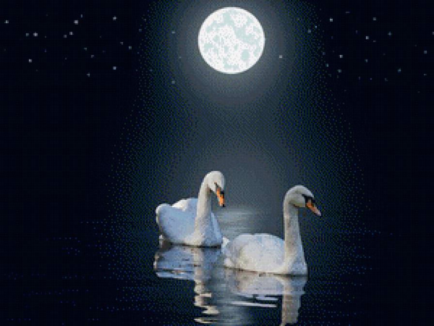 №611885 - предпросмотр