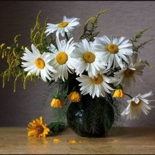 Схема вышивки «№611888»