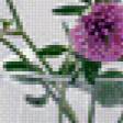 Предпросмотр схемы вышивки «клевер» (№612119)