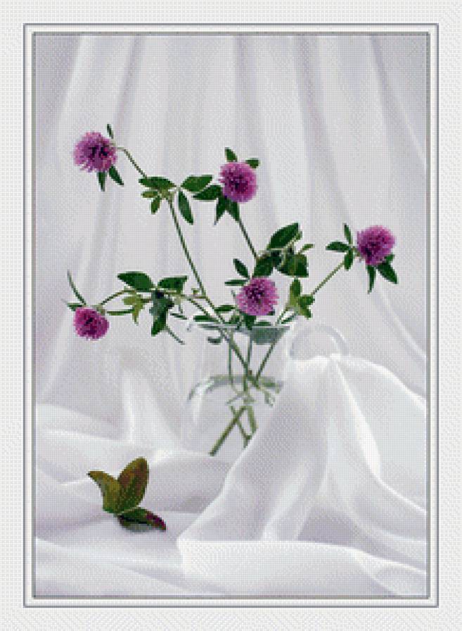 клевер - цветы.клевер - предпросмотр