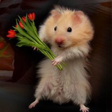 Схема вышивки «хомяк»