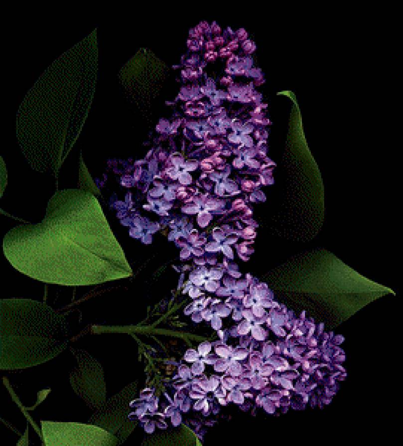 №612195 - предпросмотр