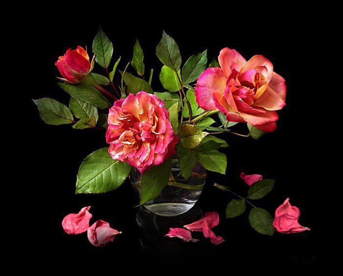 №612197 - оригинал