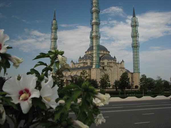 Сердце Чечни - ислам, религия, мечеть - оригинал