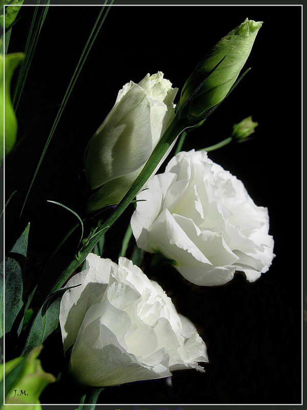 №612222 - оригинал