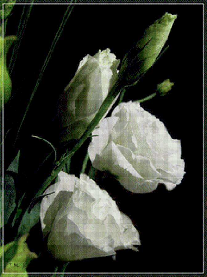 №612222 - предпросмотр