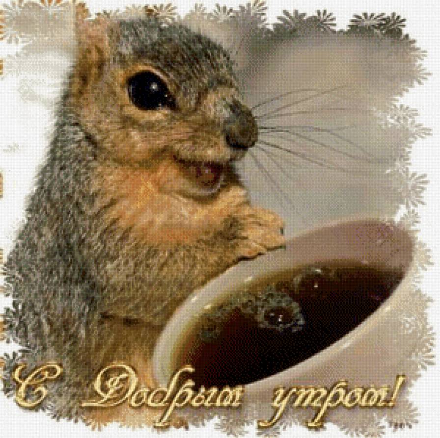 №612228 - предпросмотр