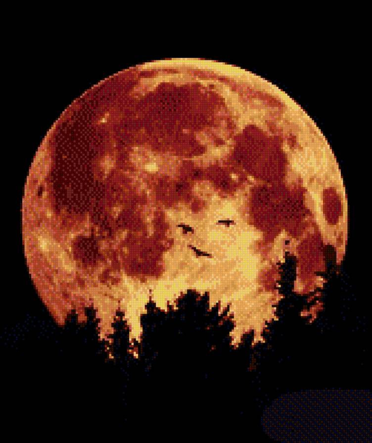 луна-красотка - вечер, природа, закат - предпросмотр