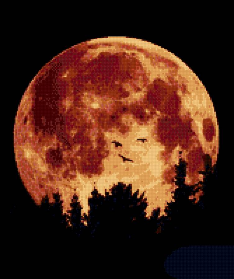 №612328 - вечер, закат, природа - предпросмотр