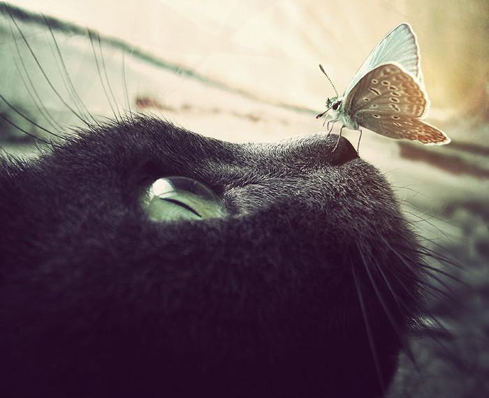 №612346 - оригинал