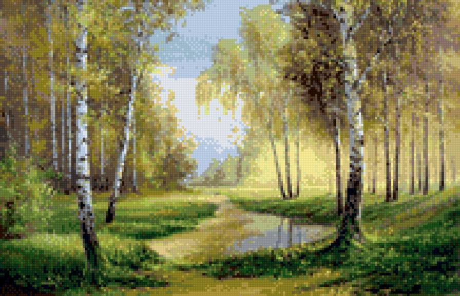 березовая роща - природа, утро, березы, пейзаж - предпросмотр