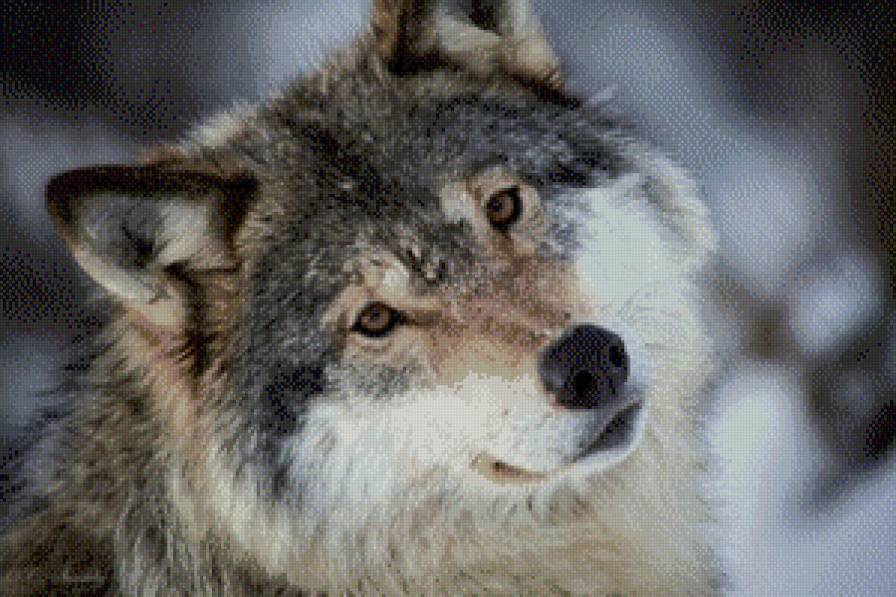 №612503 - предпросмотр