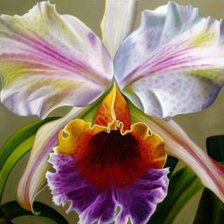 Схема вышивки «лилия»