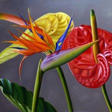 Схема вышивки «цветы»