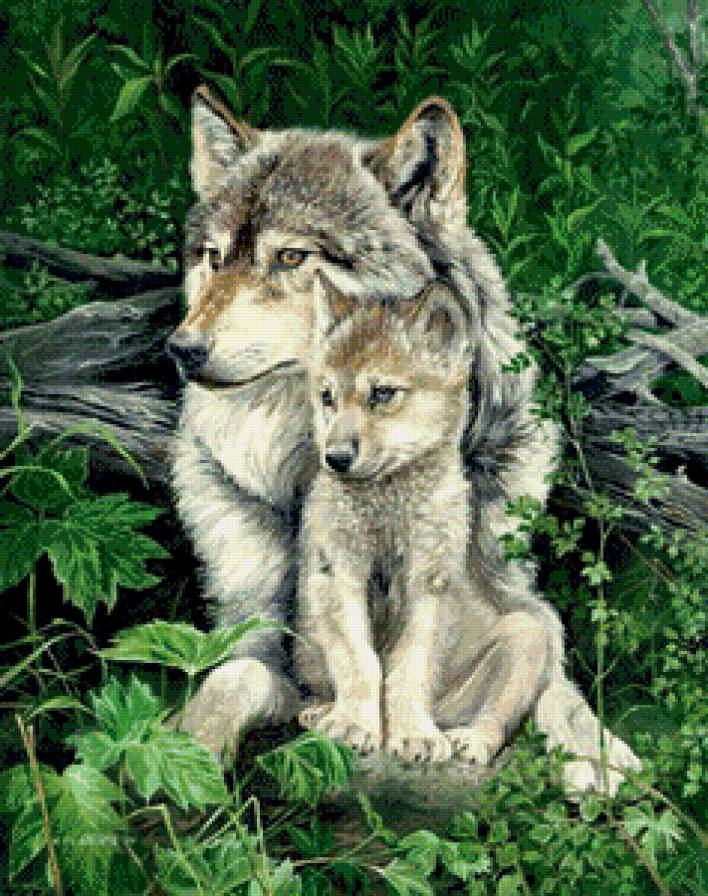 №612571 - предпросмотр