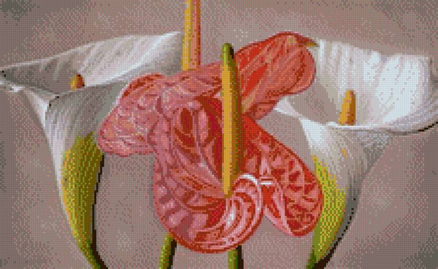 цветы - цветы, букет, каллы - предпросмотр