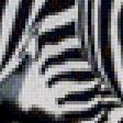 Предпросмотр схемы вышивки «Зебры» (№612594)