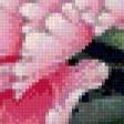 Предпросмотр схемы вышивки «Пион» (№612606)