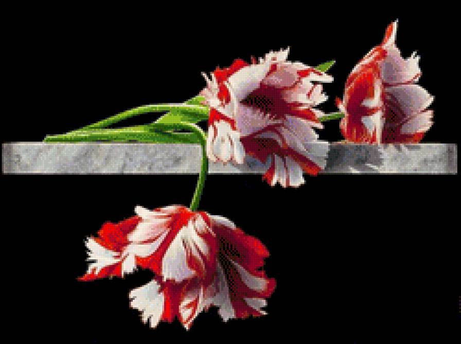 №612667 - цветы - предпросмотр