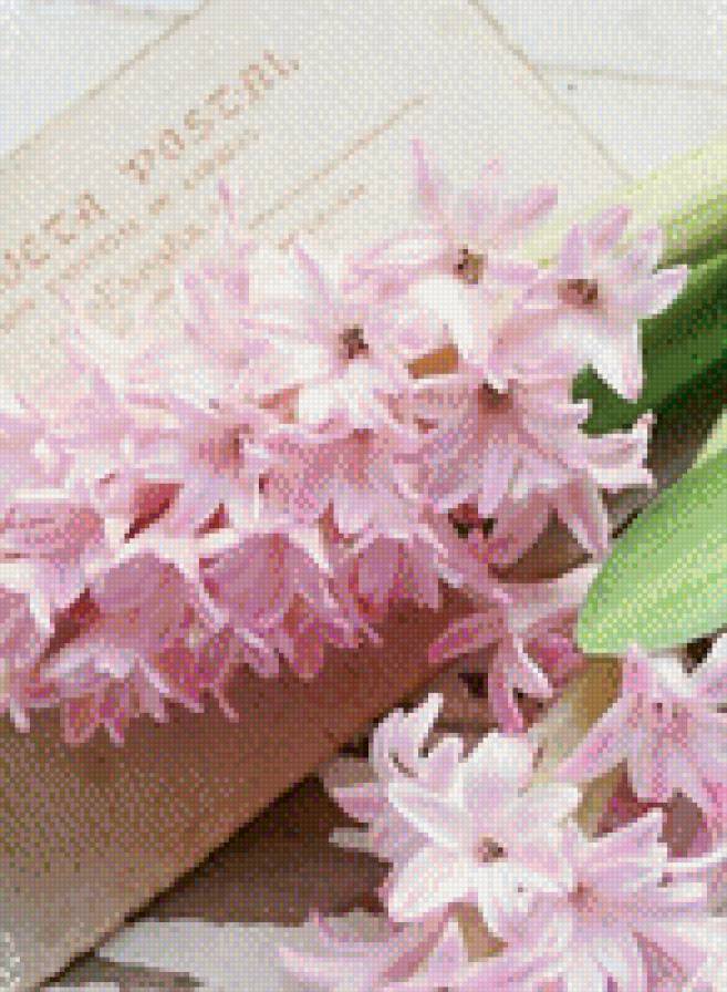 Цветок - цветы - предпросмотр