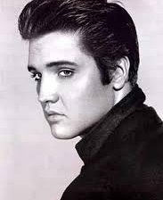 Схема вышивки «Элвис»