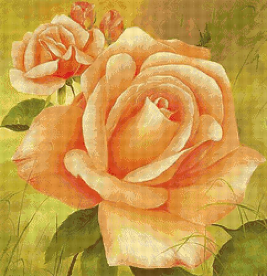 Роза - цветы, розы, живопись - предпросмотр