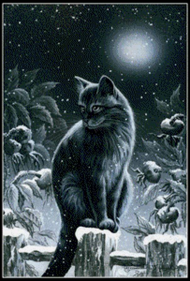 кошка - животные, кошки - предпросмотр