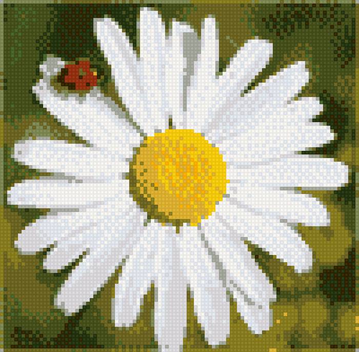 Ромашка - насекомые, божья коровка, ромашка, цветы - предпросмотр