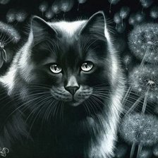 Оригинал схемы вышивки «черная кошка» (№613535)