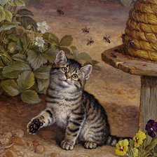 котенок с пчелами