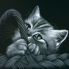Оригинал схемы вышивки «котенок в корзинке» (№613633)